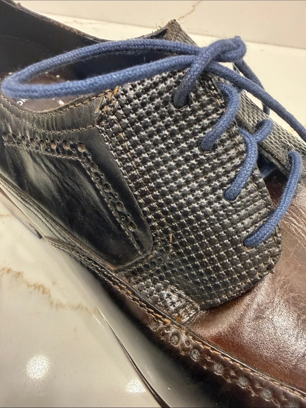 Stacy Adams Kaine Wingtip Dark Brown Leather Oxfords with Navy Laces Brand New